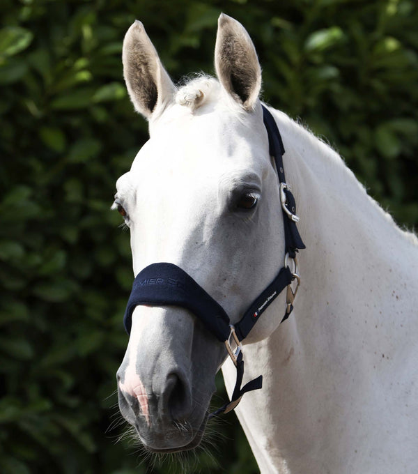 Fleece Padded Head Collar with Lead Rope Navy