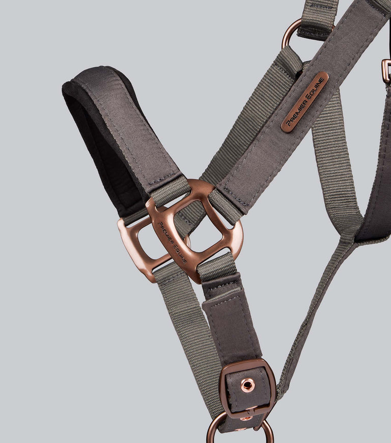 Fusco head collar with rope