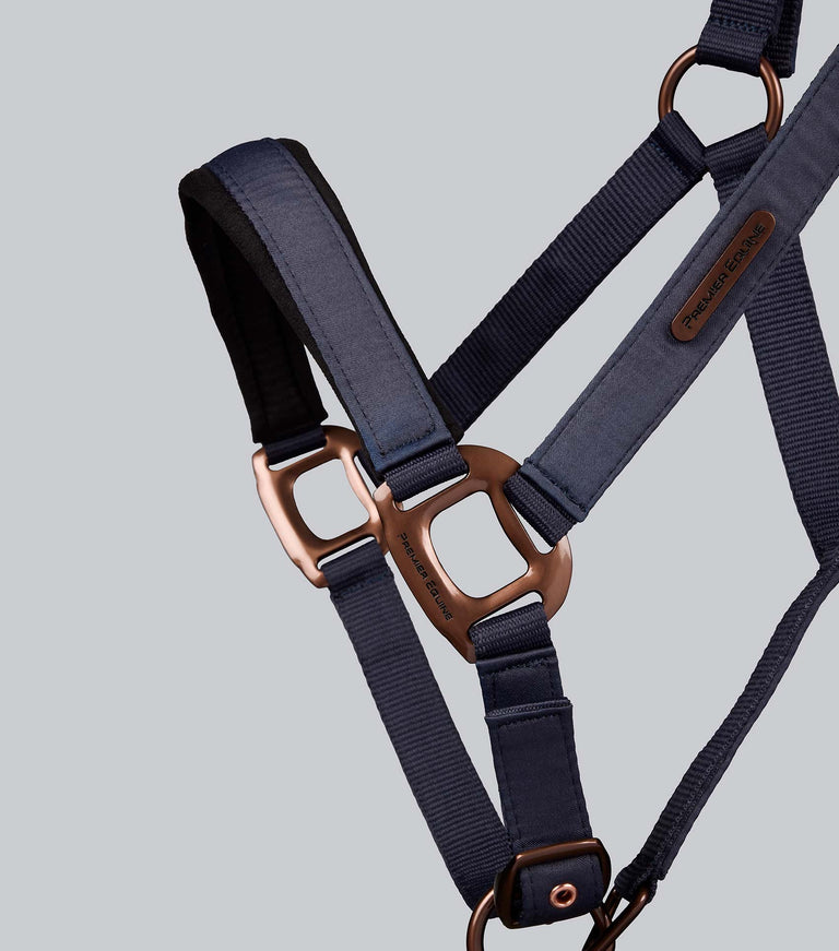 fusco head collar with rope
