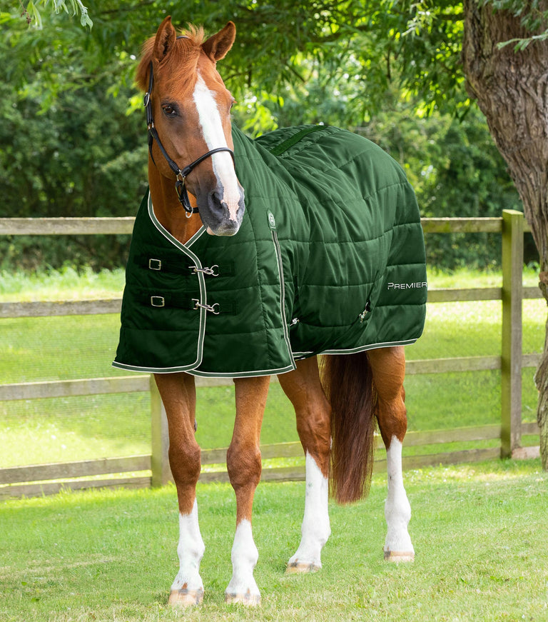 Garissa stable rug 100
