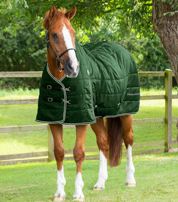 Garissa stable rug 100
