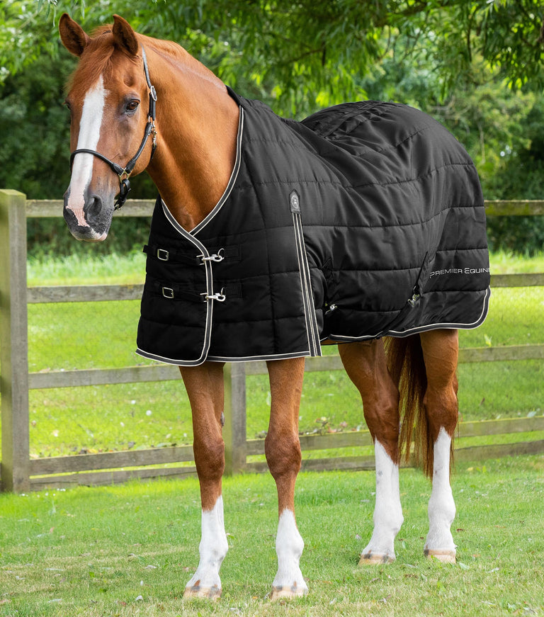 Garissa Stable Rug 200