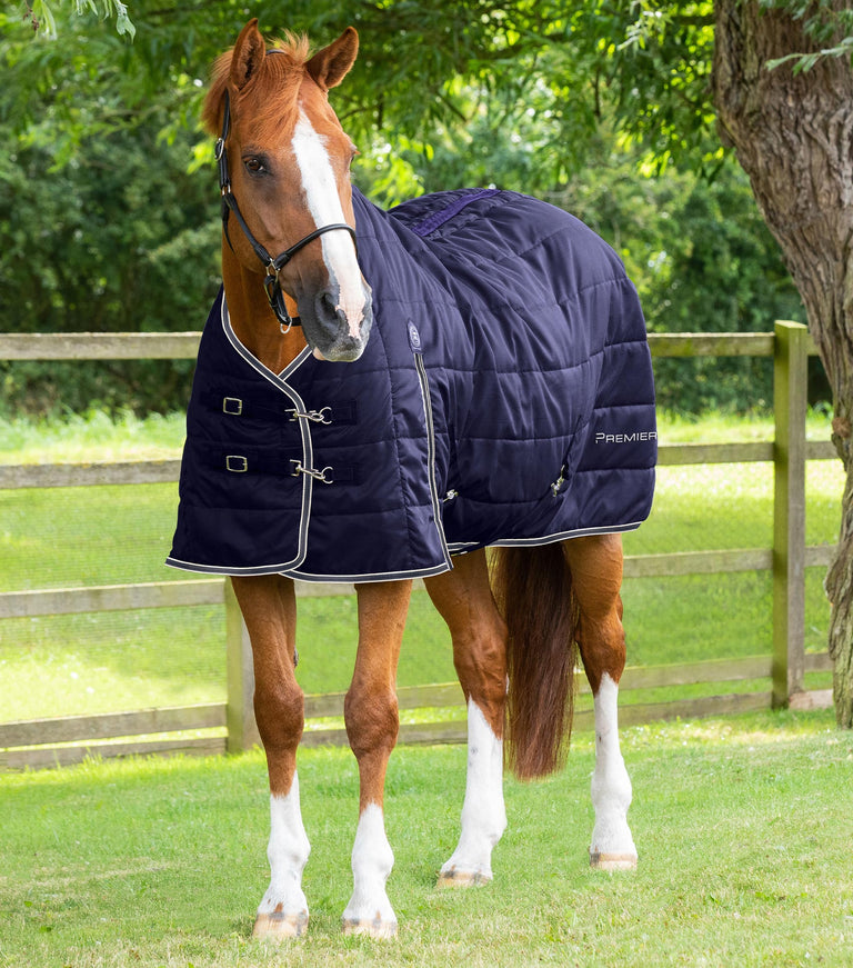 Garissa Stable Rug 200