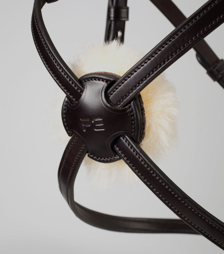 Glorioso Grackle Bridle