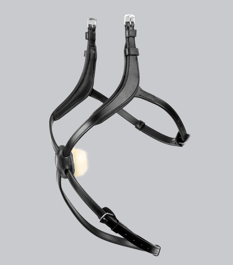 Glorioso Mexican Grackle Noseband