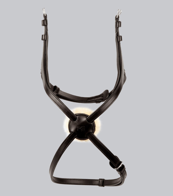 Glorioso Mexican Grackle Noseband
