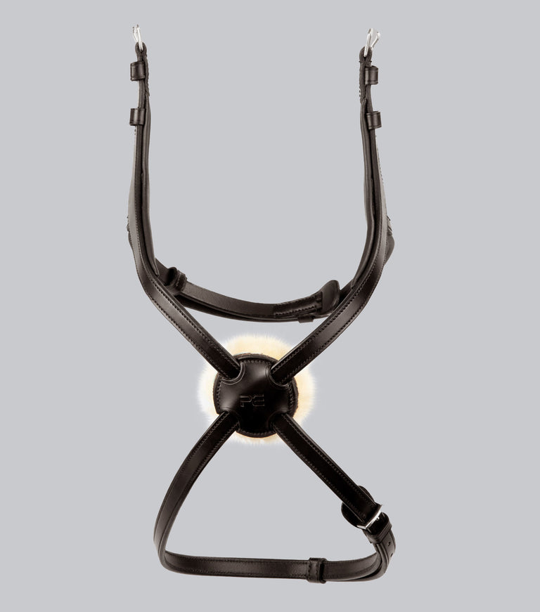Glorioso Mexican Grackle Noseband