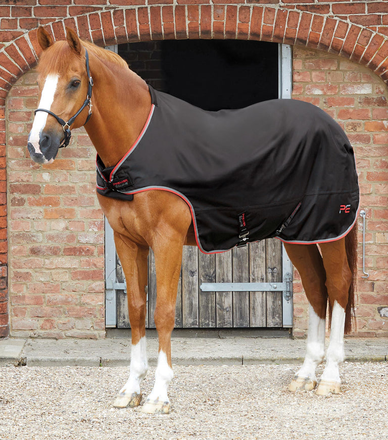  MARKED - Horse Walker Rug 100g