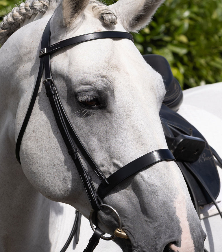 Hunter Cavesson Noseband