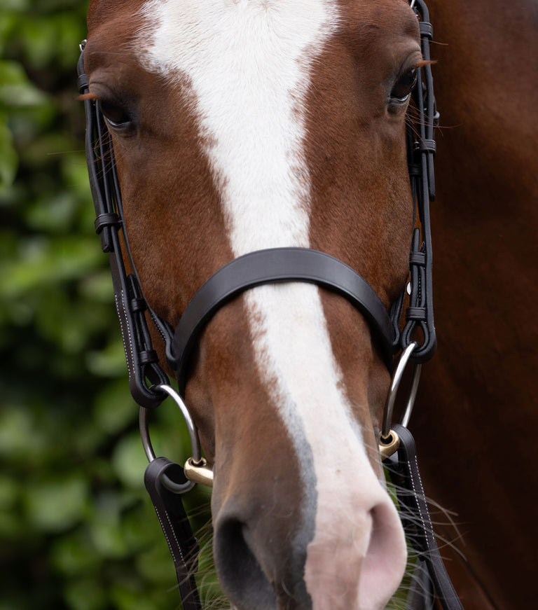 Hunter Cavesson Noseband