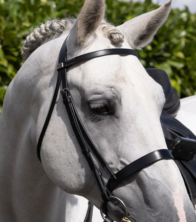 Hunter Plain Bridle Headpiece