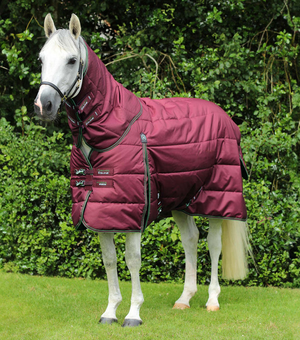 Hydra 350g Stable Rug with Neck Cover