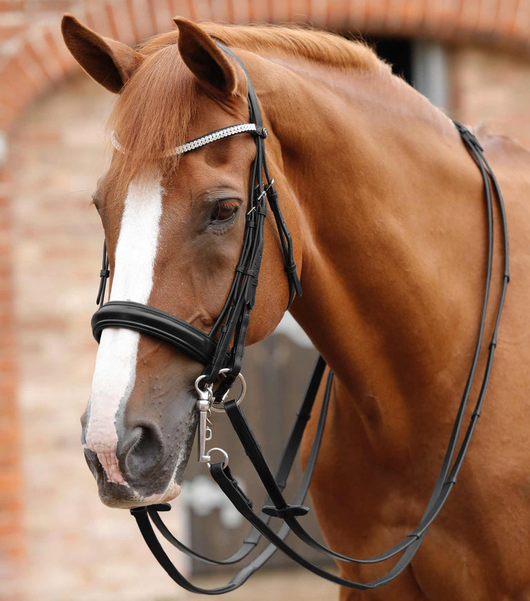 Leonardo Plain Leather Double Bridle Reins