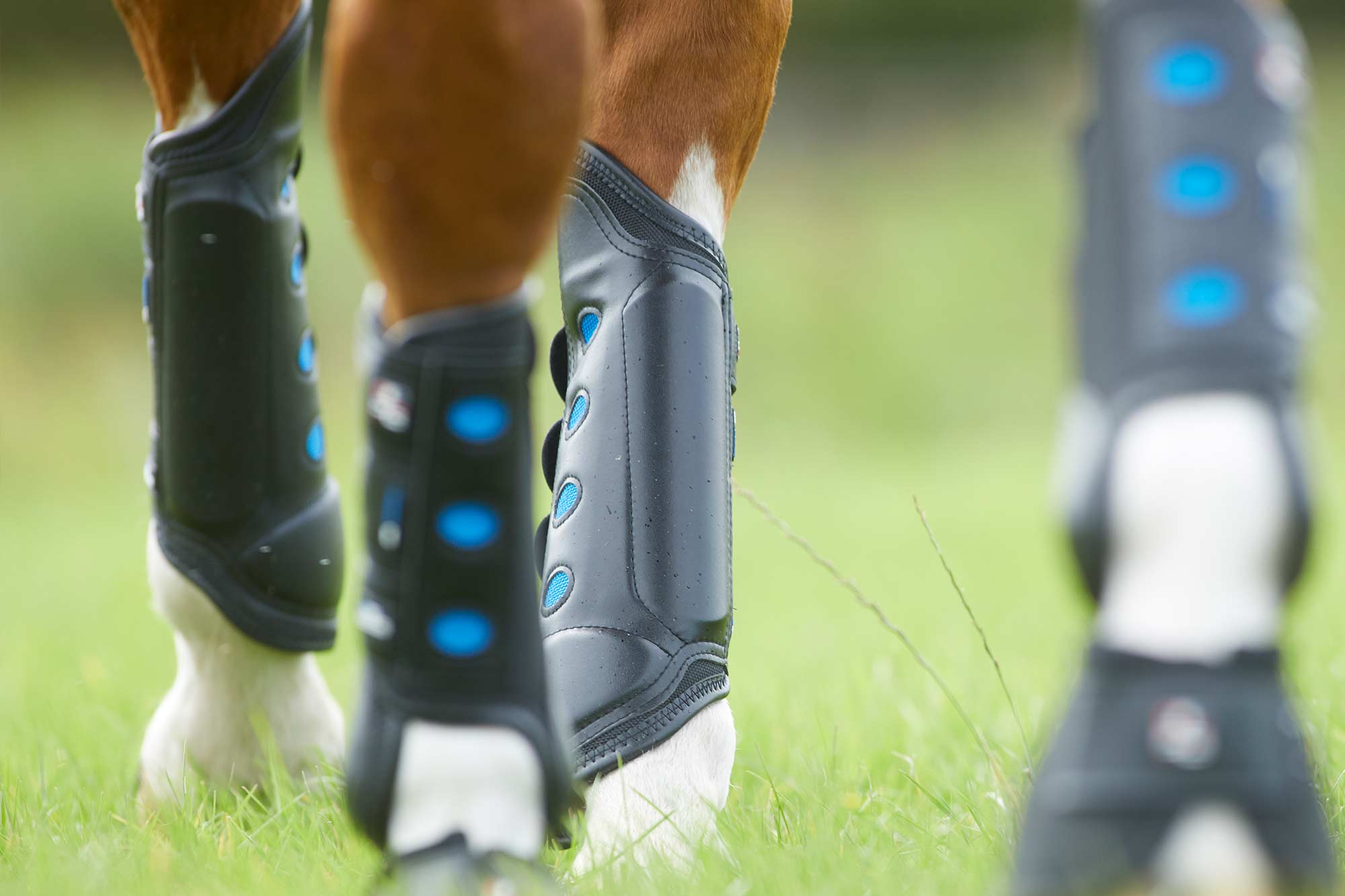 Premier Equine Horse Boots Look Book Premier Equine Int. Ltd.