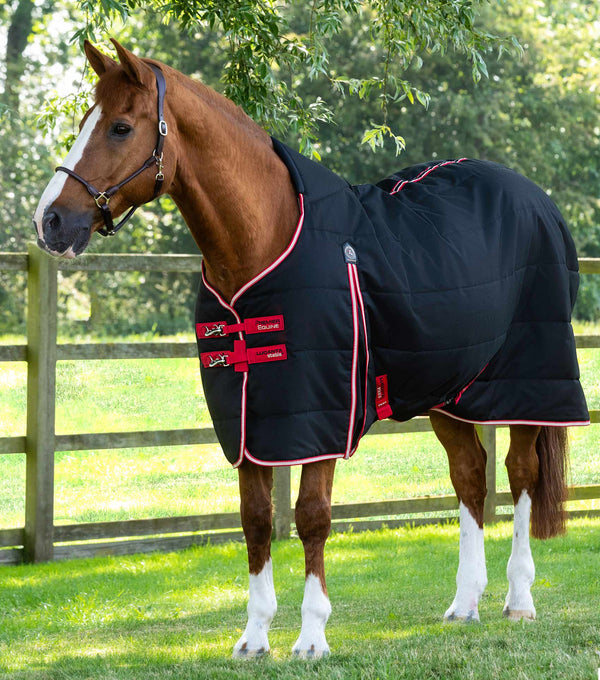 Lucanta Demi Stable 200