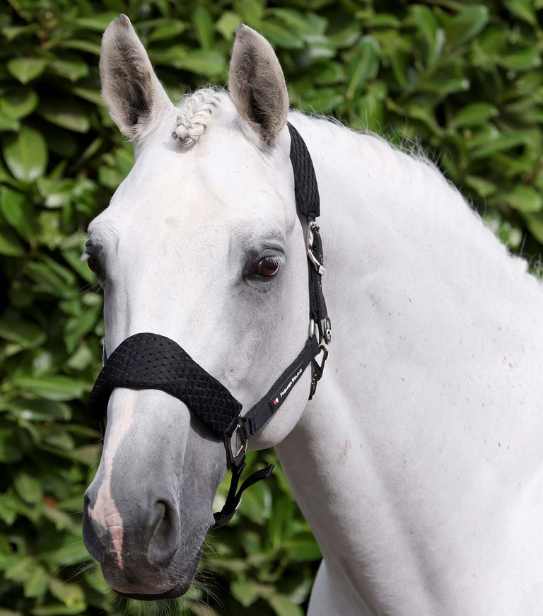 Necto 3D Mesh Horse Head Collar with Lead Rope Black