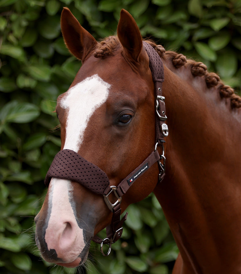 Necto 3D Mesh Horse Head Collar with Lead Rope Brown