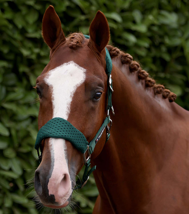 Necto 3D Mesh Head Collar with Lead Rope Green