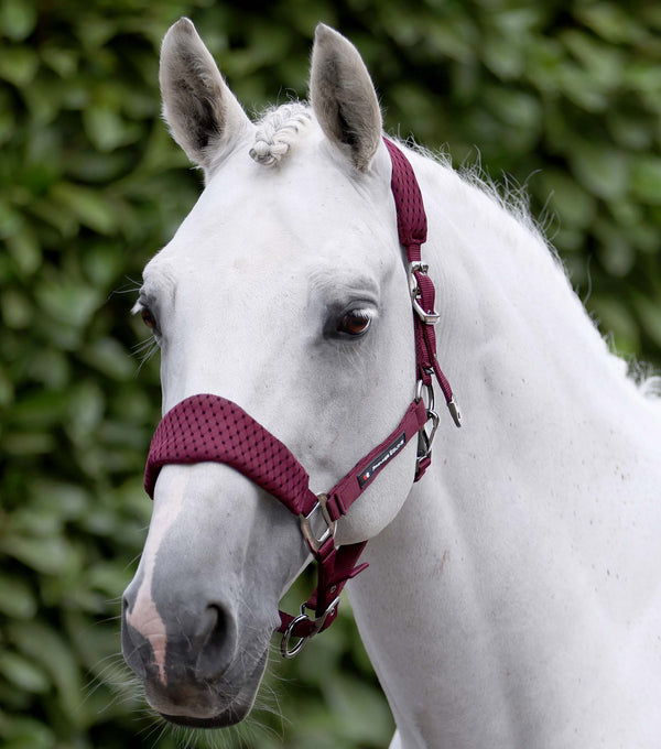Necto 3D Mesh Horse Head Collar with Lead Rope Burgundy