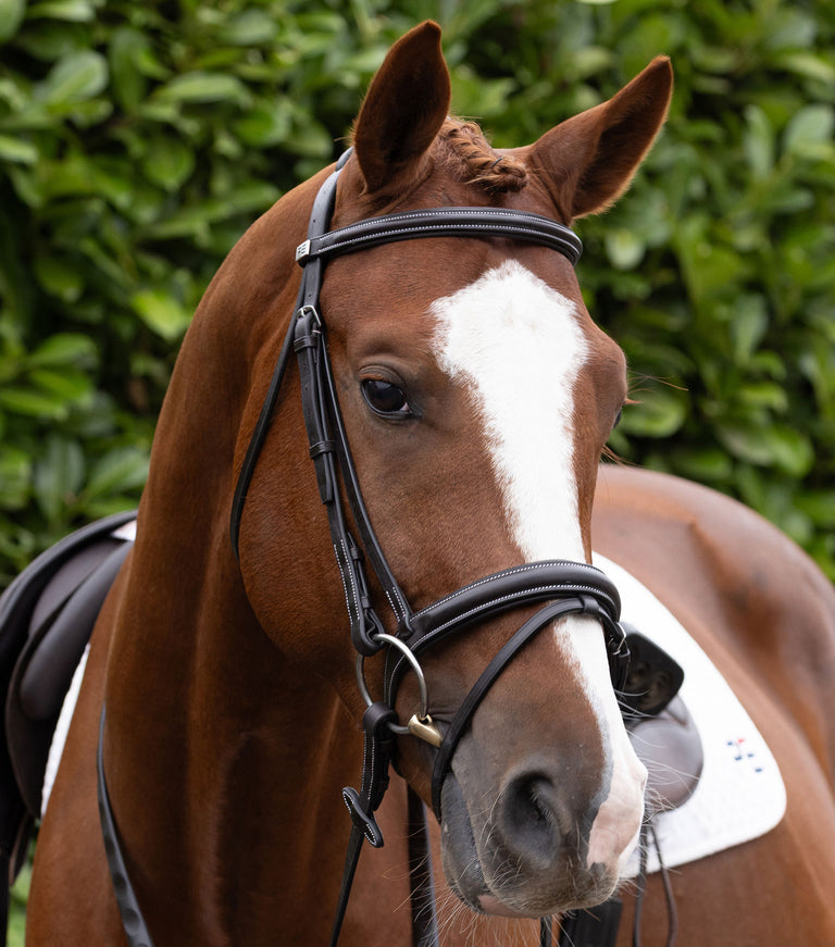 Padded Noseband for Pro Elevator Bridle