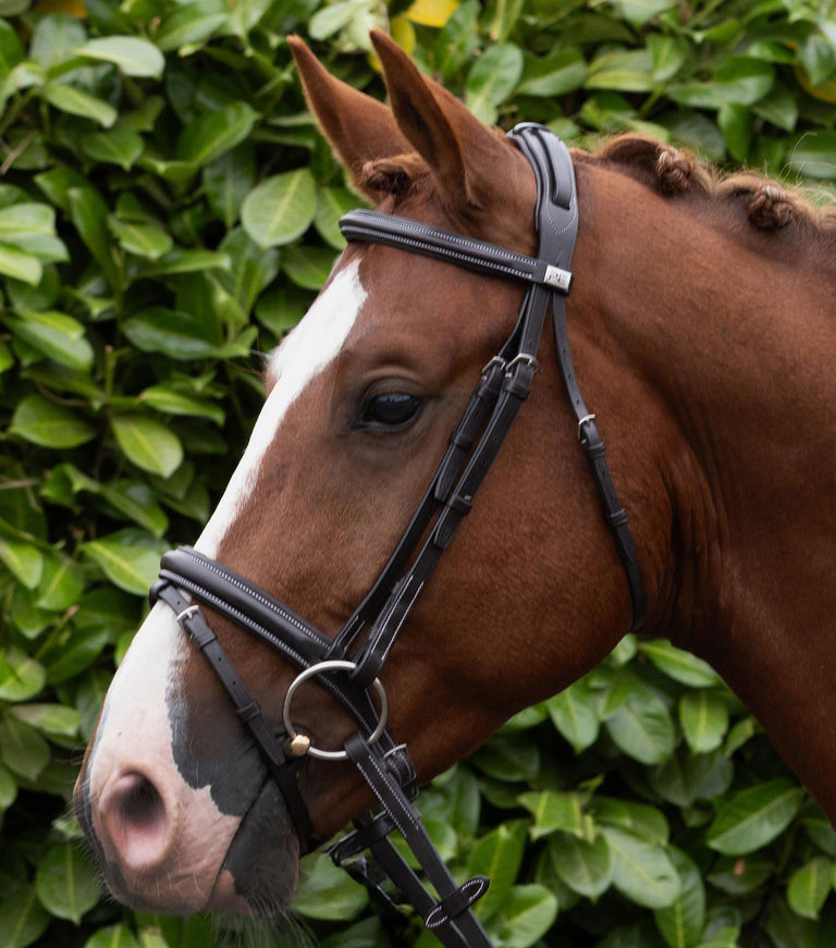 Padded Noseband for Pro Elevator Bridle