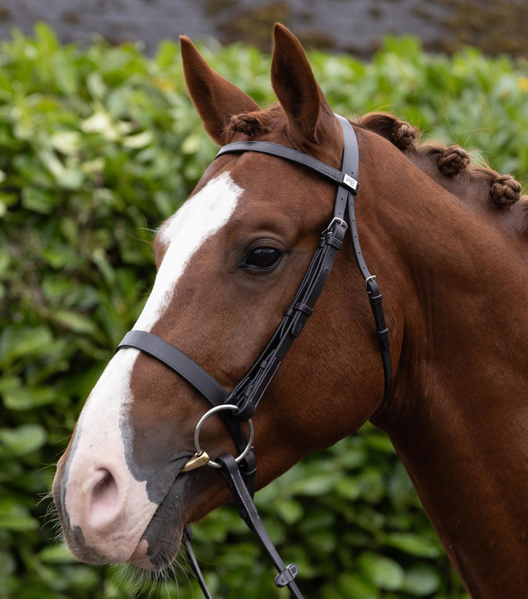 plain browband for hunter bridle