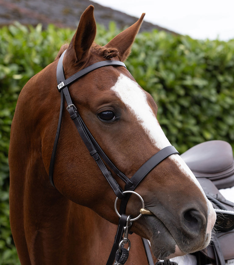 plain browband for hunter bridle