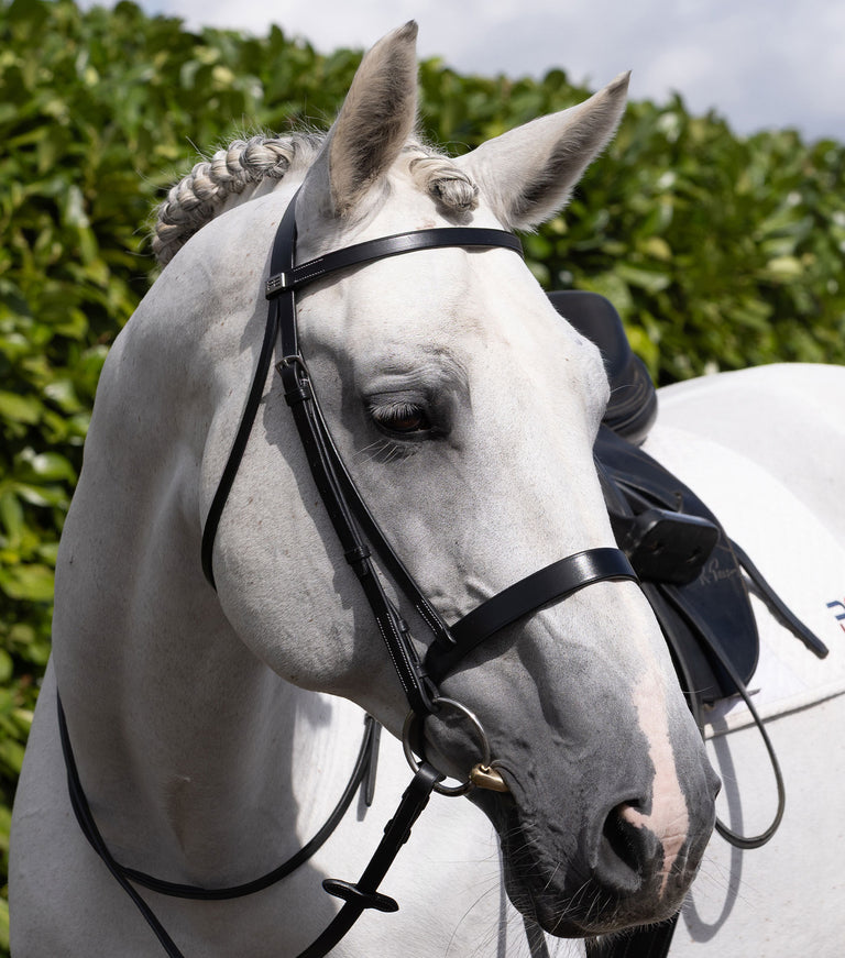 plain browband for hunter bridle