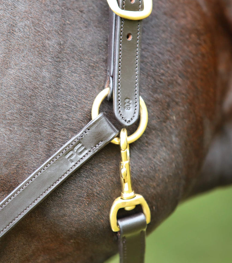 Plain Leather Head Collar