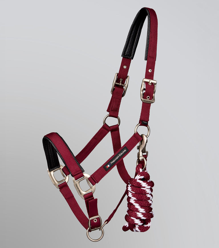 Plain padded head collar with rope