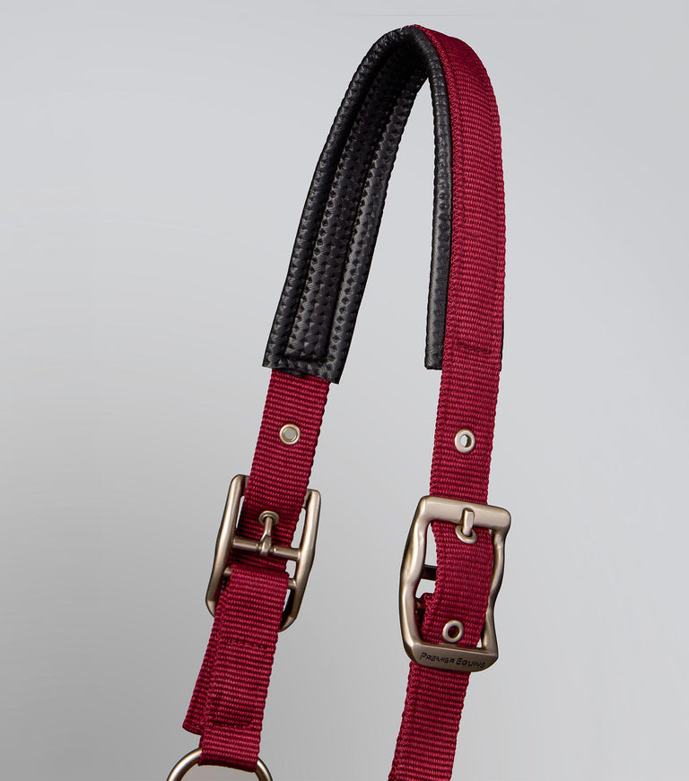 Plain padded head collar with rope