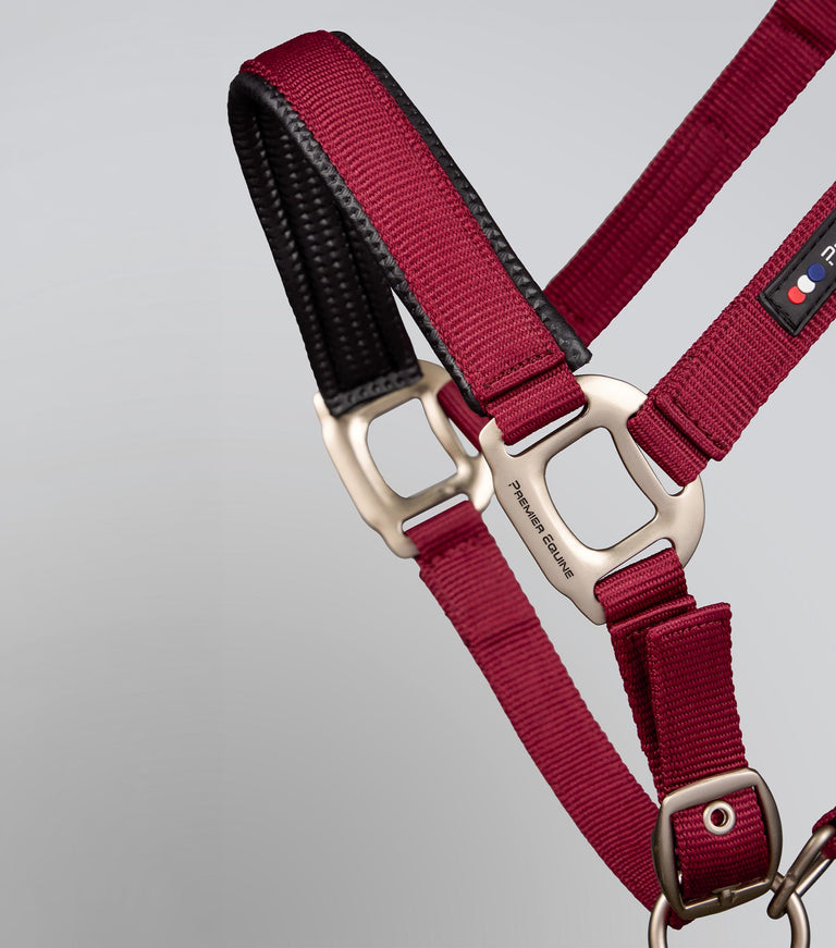 Plain padded head collar with rope