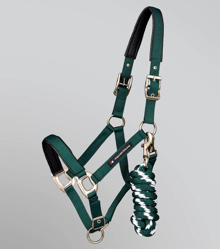 Plain padded head collar