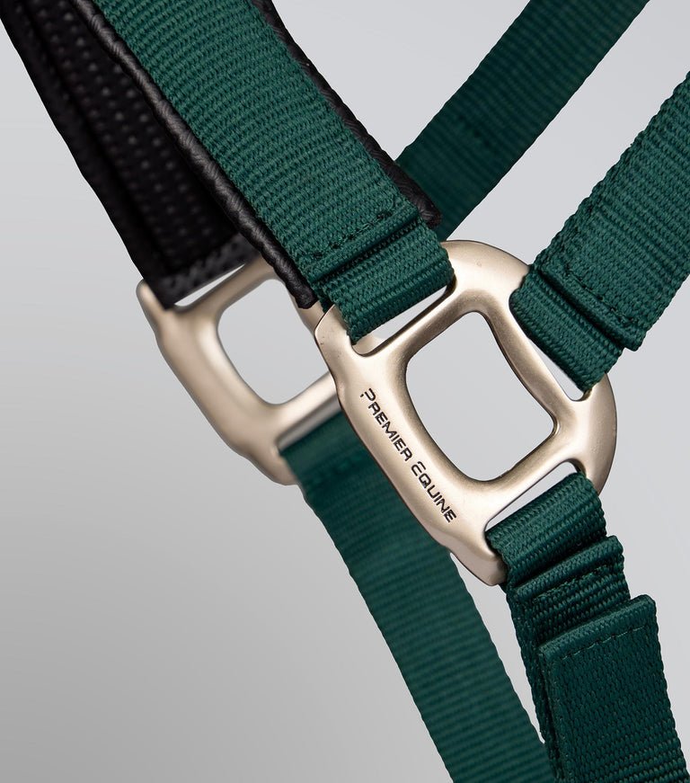 Plain padded head collar