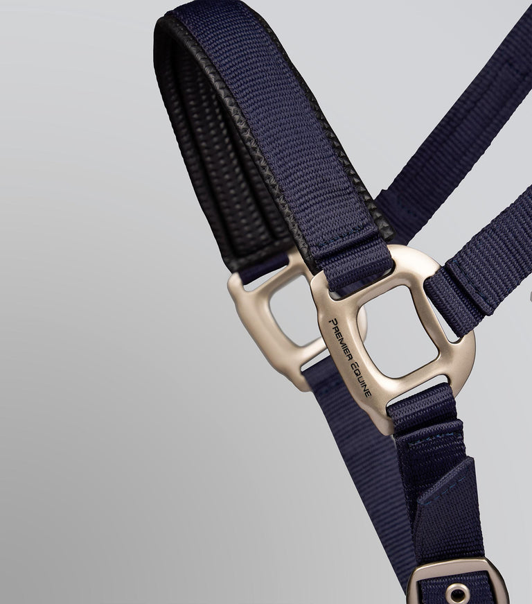 Plain padded head collar with rope