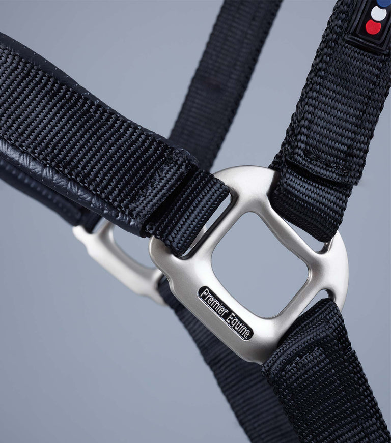 Plain Padded Horse Head Collar