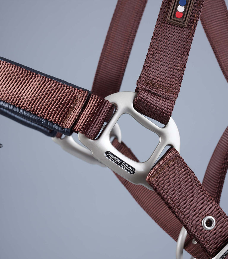 Plain Padded Horse Head Collar