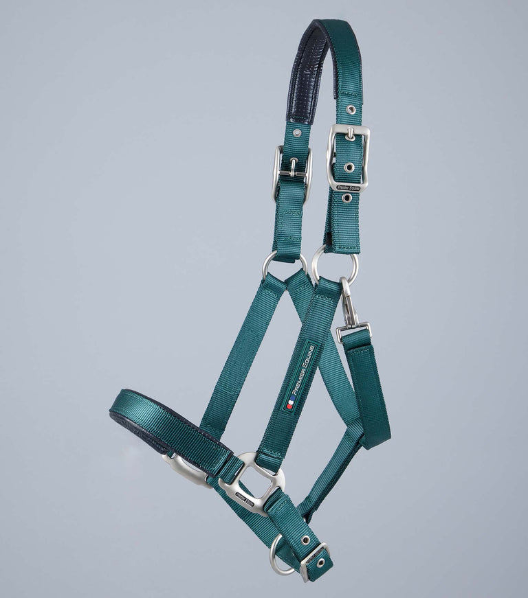 Plain Padded Horse Head Collar