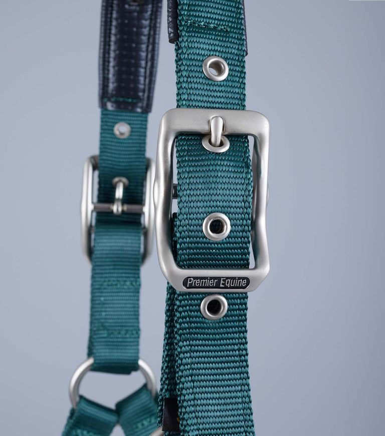 Plain Padded Horse Head Collar