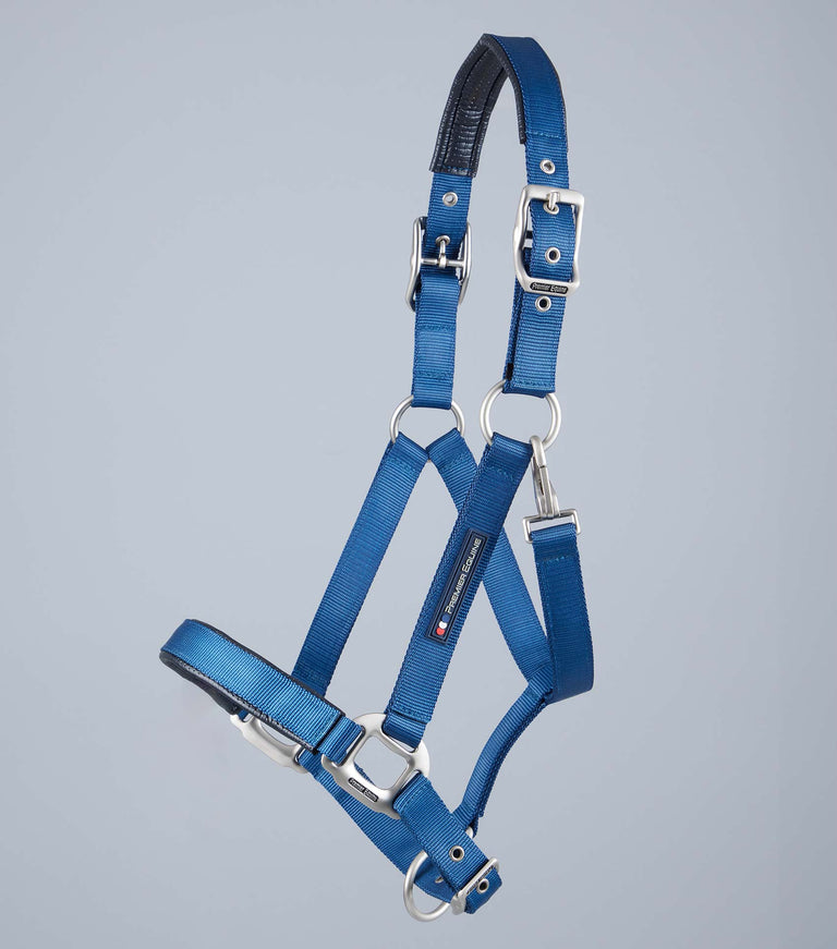 Plain Padded Horse Head Collar