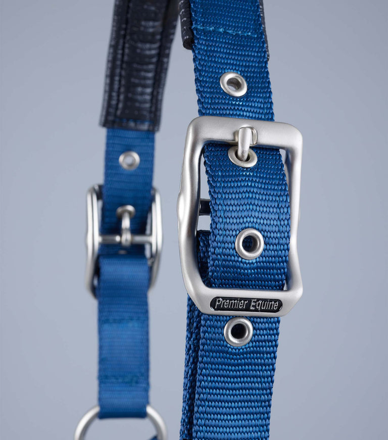 Plain Padded Horse Head Collar