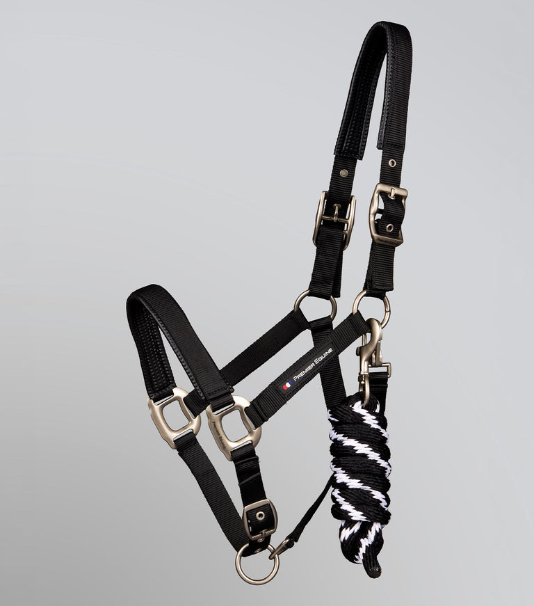 Plain Padded Head Collar with Lead Rope Black