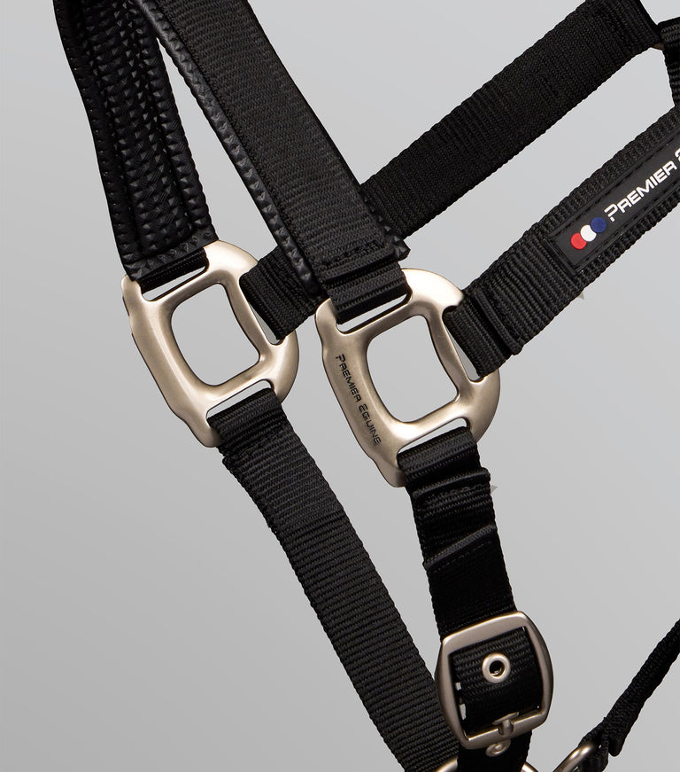 Plain Padded Head Collar with Lead Rope Black