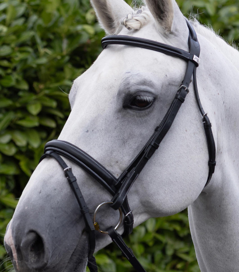 Pro elevator Bridle headpiece