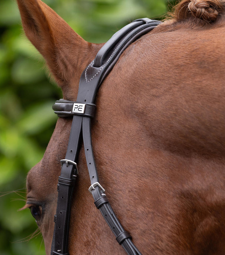 Pro Elevator Bridle Headpiece