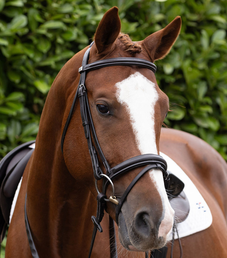 Pro elevator padded browband