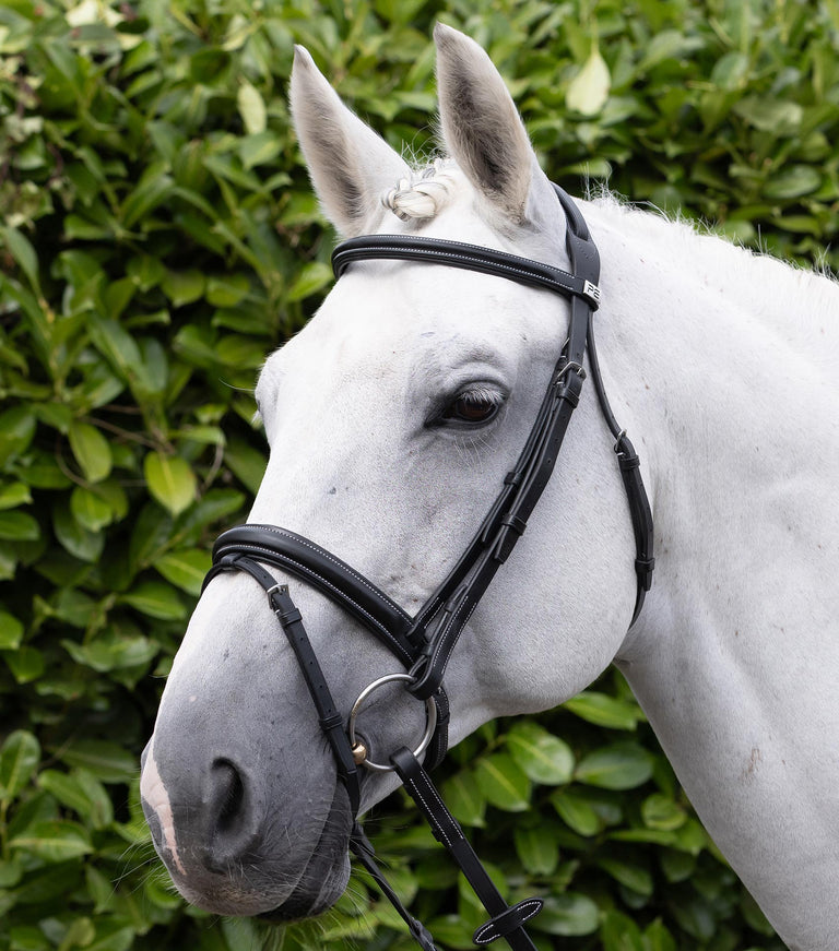 Pro elevator padded browband