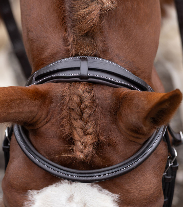 Pro Elevator Bridle Headpiece