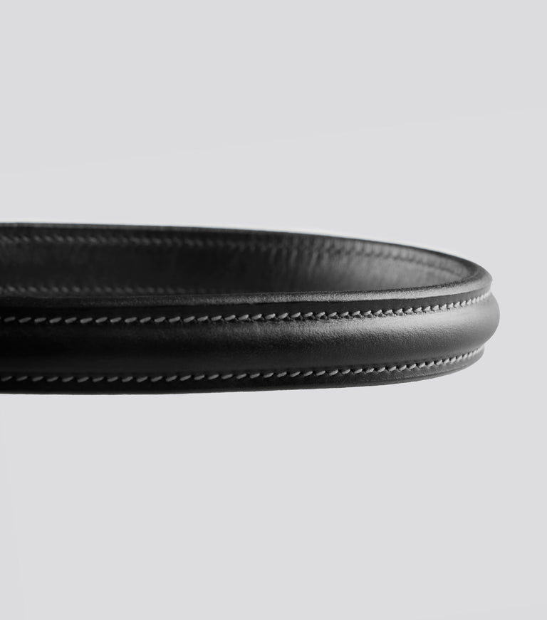 Raised browband for raised jumping bridle
