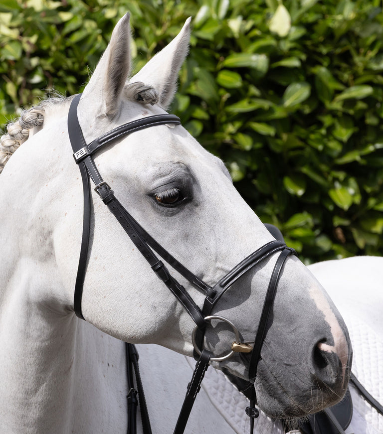 Raised browband for raised jumping bridle